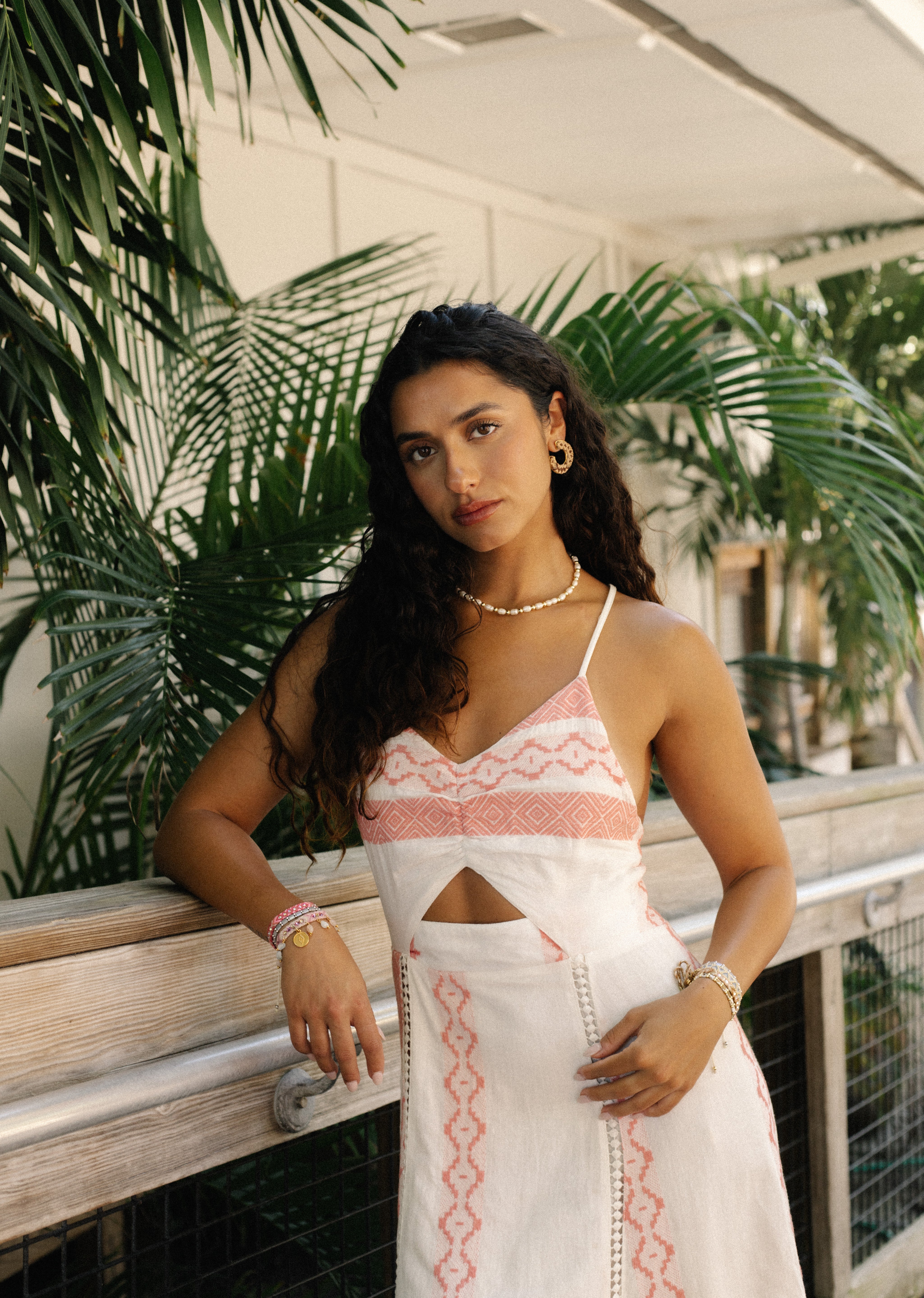 Arete Wayuu Jolotsü - Camel